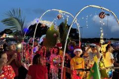 Light on Rice Parade 2025