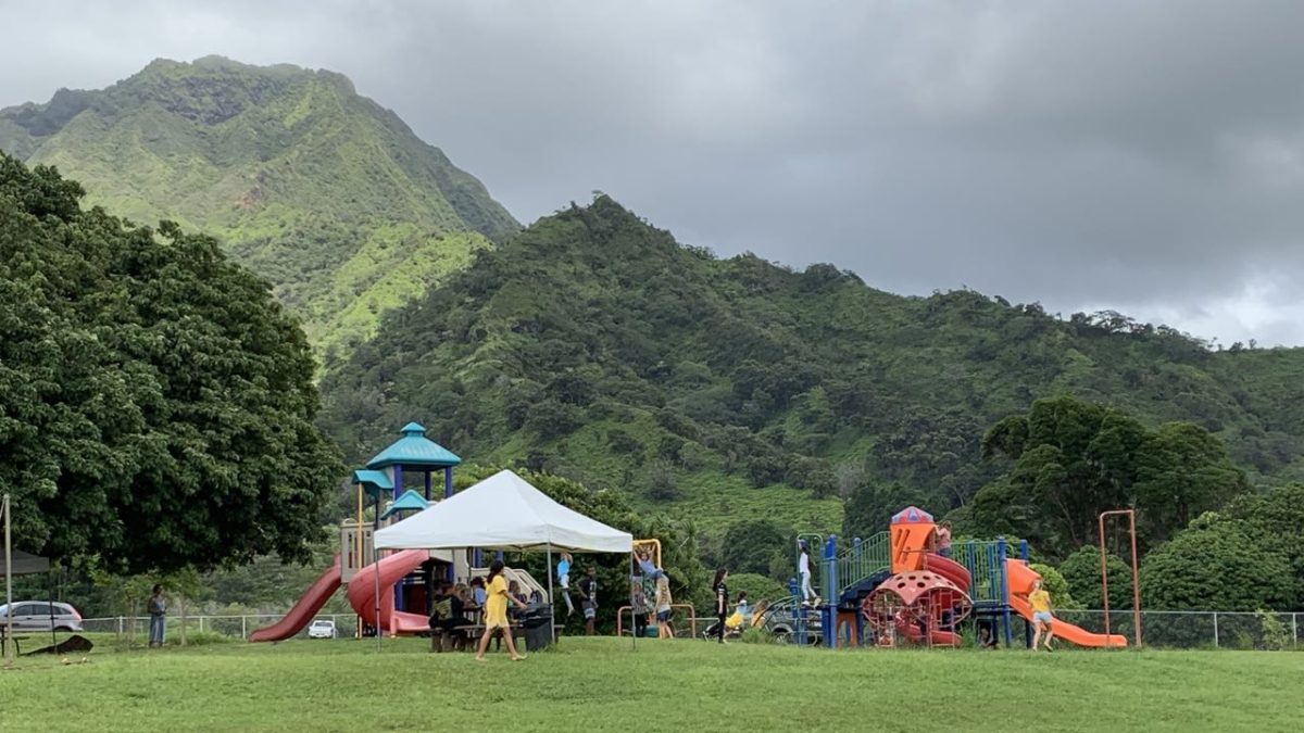 Alakai O Kauai Playground