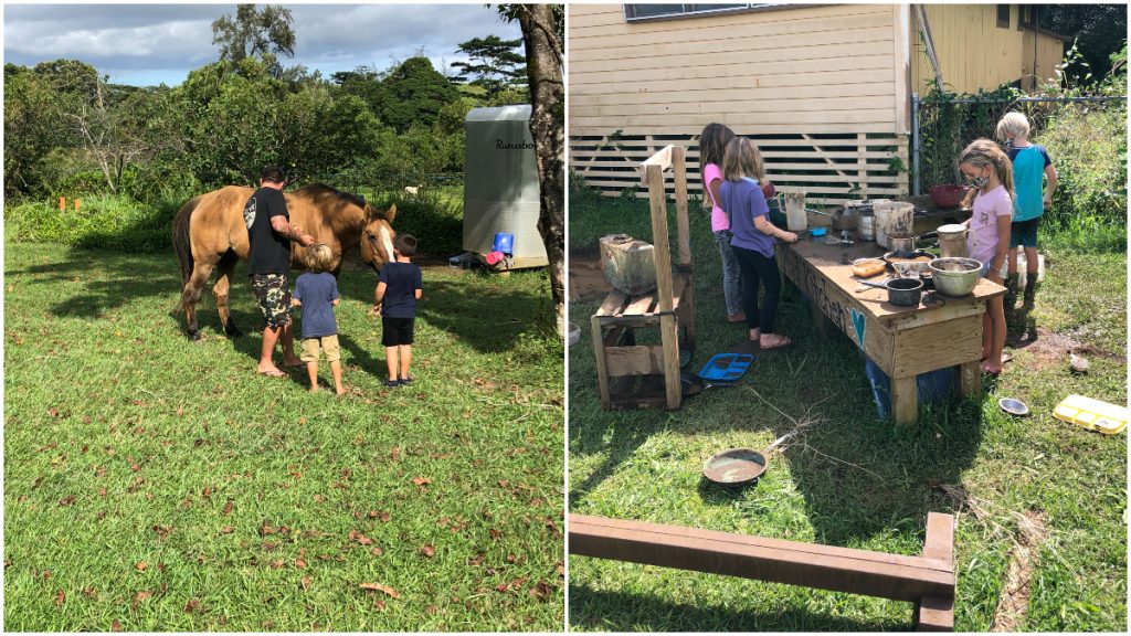 Outdoor Classroom Alakai O Kauai