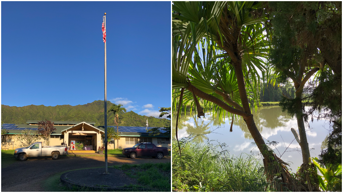 collage of Alaka'i O Kaua'i school building and outdoor grounds with palm tree and body of water