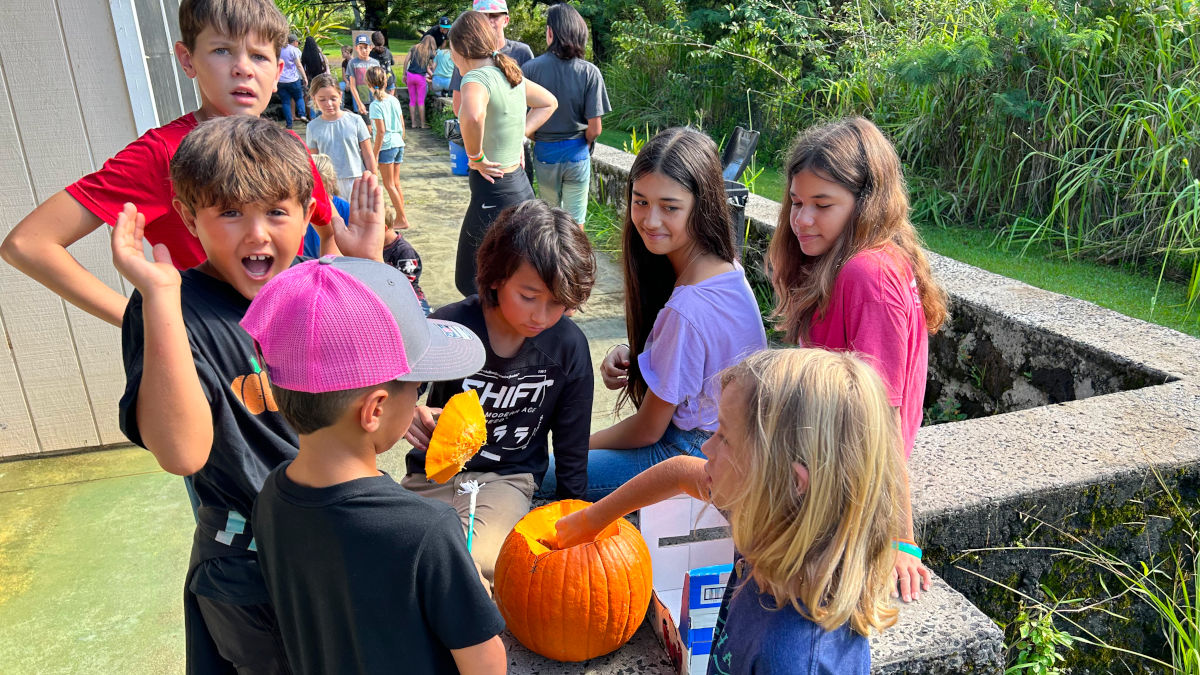 AOK learners carving a pumpkin on campus