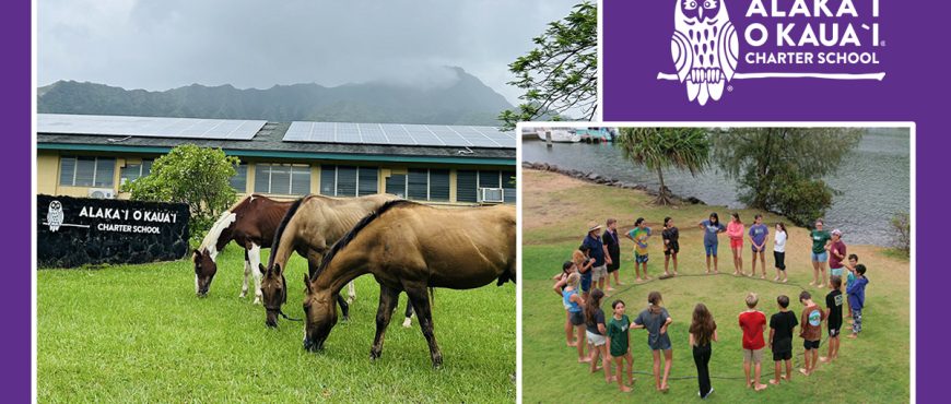 2 images side by side, on the left stand 3 horses eating near the AOK school sign and on the right stands a large circle of AOK learners on the grass