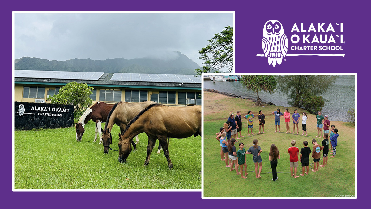 2 images side by side, on the left stand 3 horses eating near the AOK school sign and on the right stands a large circle of AOK learners on the grass