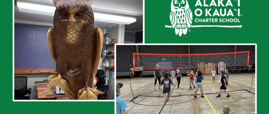 2 images, one the left is a large wooden owl statue and on the write is AOK learners playing volleyball in the gym