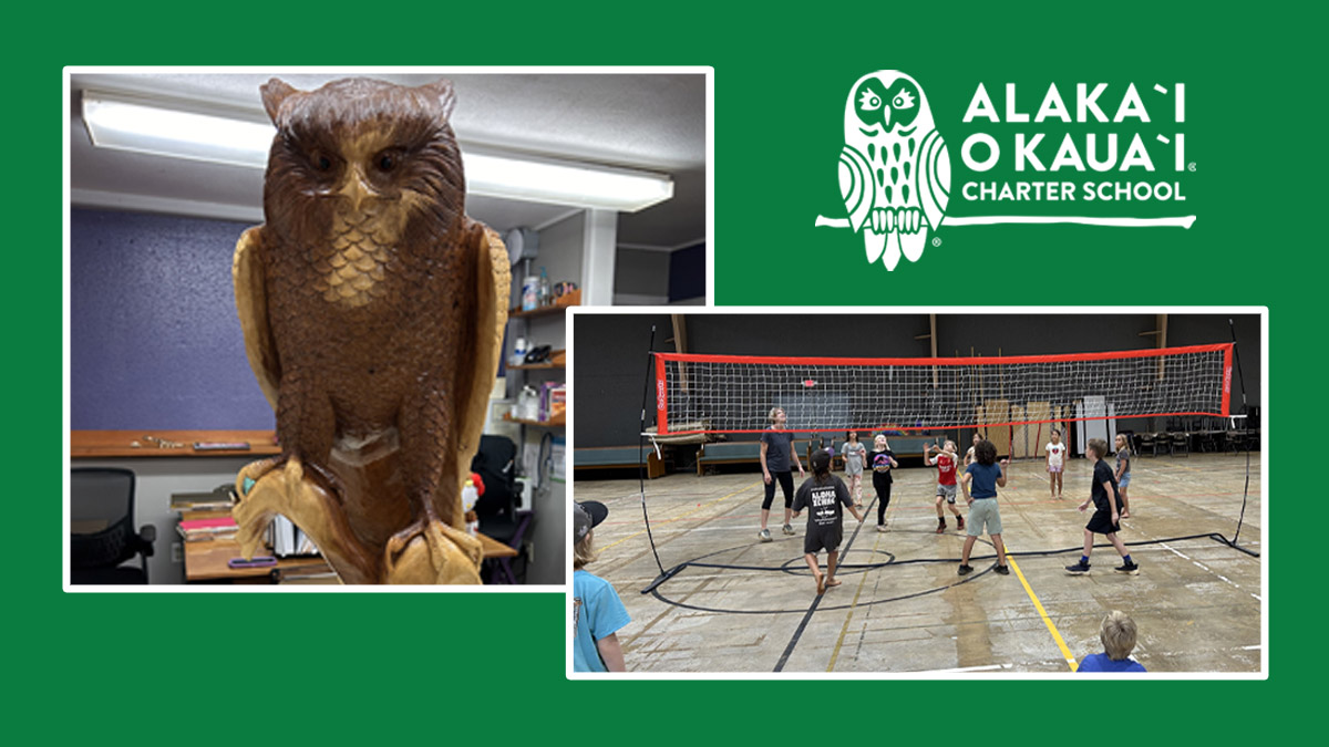 2 images, one the left is a large wooden owl statue and on the write is AOK learners playing volleyball in the gym